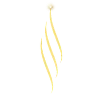 IcyBlaze Maison